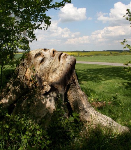 Причуды природы