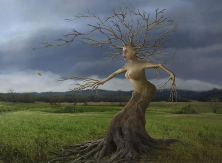 Женщина дерево