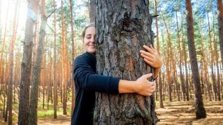 Обнимает дерево