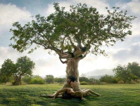 Дерево человек