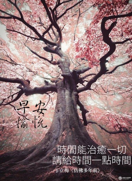 Красивое дерево