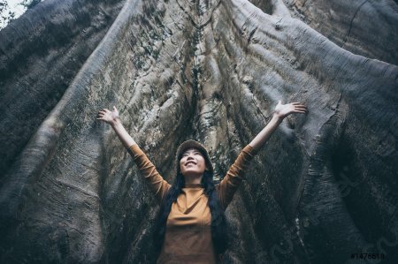 Гигантские деревья