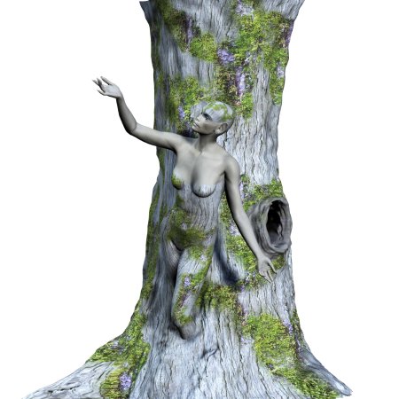 Женщина дерево