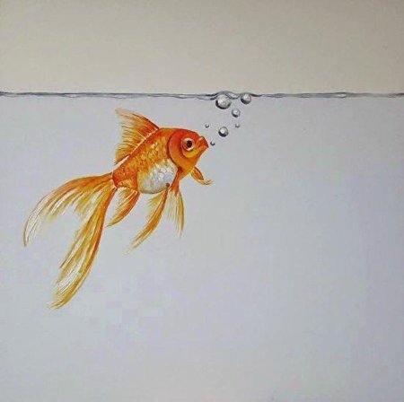 Золотая рыбка акварель