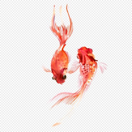 Рыбки акварелью сверху