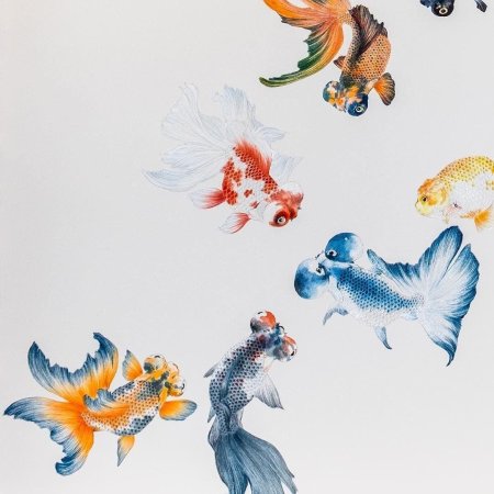 Золотая рыбка иллюстрации