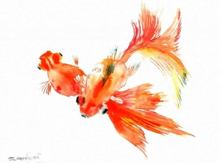 Акварельные рыбки