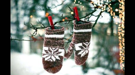 Зимние варежки