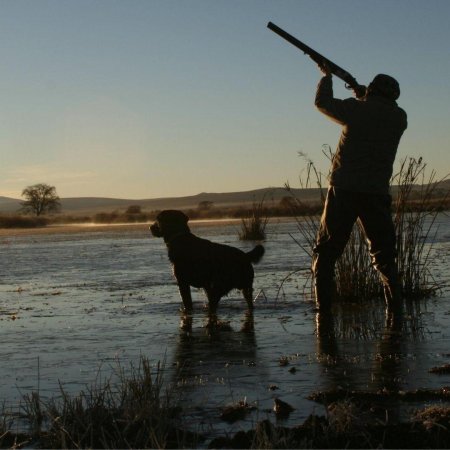 Охота на водоплавающую дичь