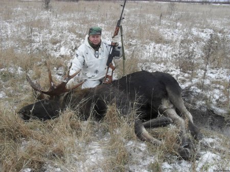 Охота на лося