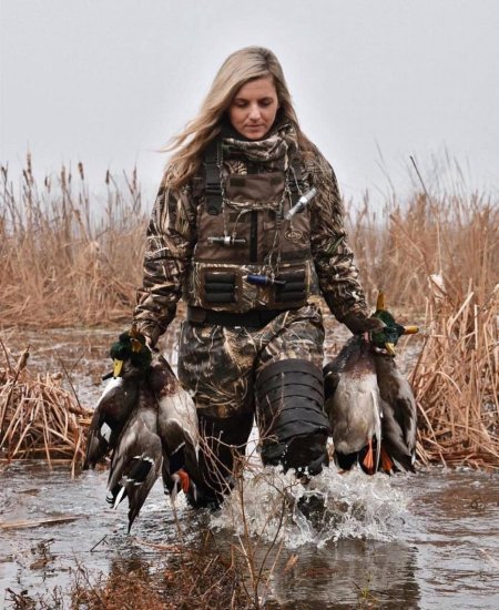 Охота на утку