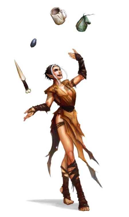 Pathfinder half elf bard