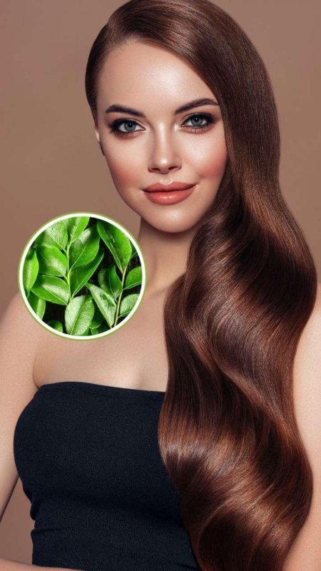 Натуральный каштановый цвет волос