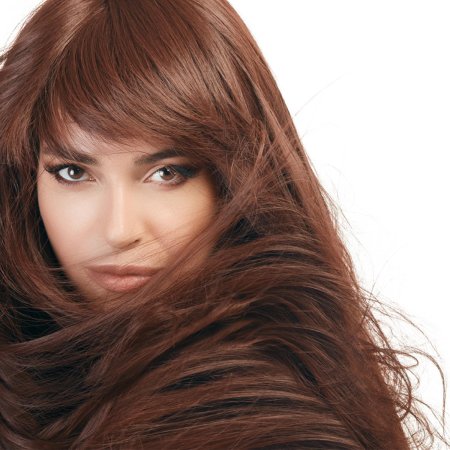 Цвет каштановый волос