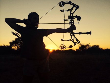 Стрельба из лука