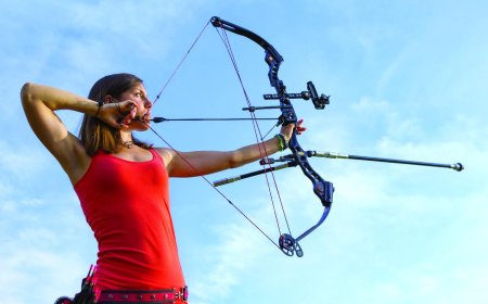 Стрельба из лука