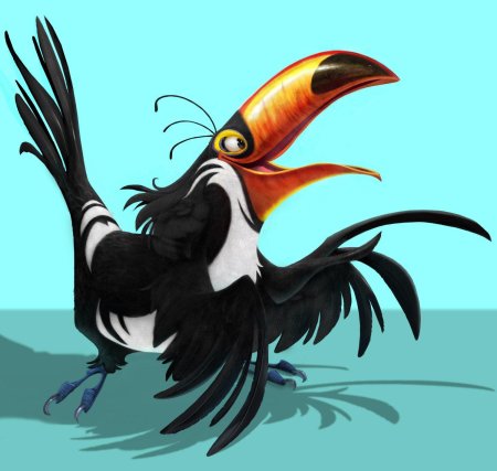 Рио тукан рафаэль