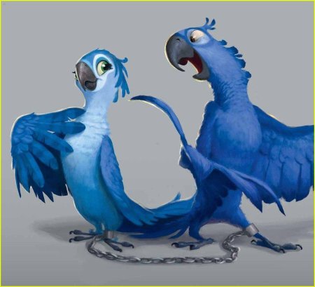 Рио голубчик и жемчужинка