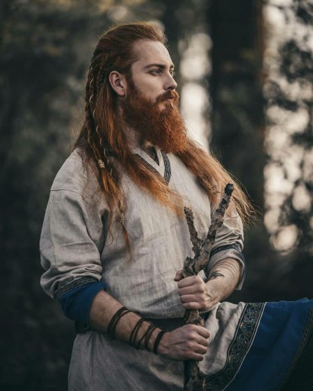 Эрик рыжебородый викинг