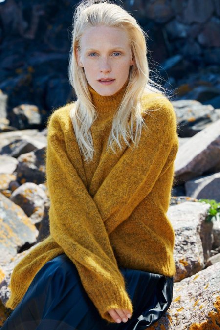 Скандинавская внешность