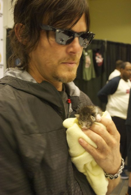 Чендлер риггз и норман ридус