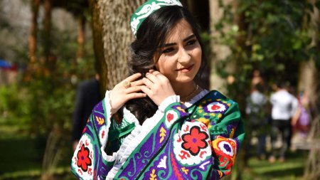 Куртаи чакан попович