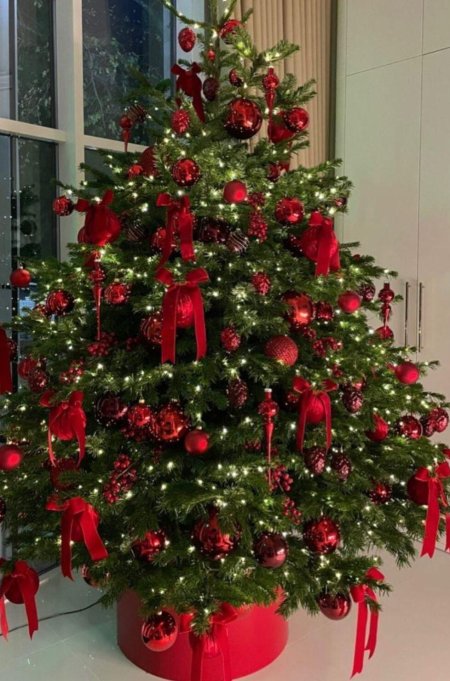 Елка рождественская