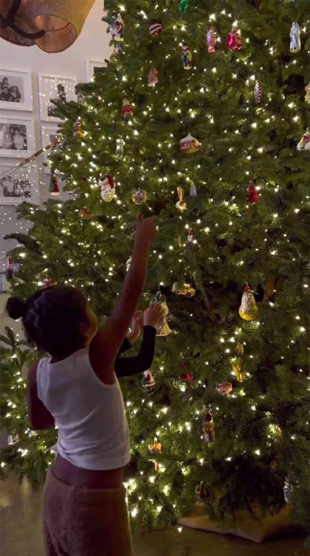 Елка кайли дженнер