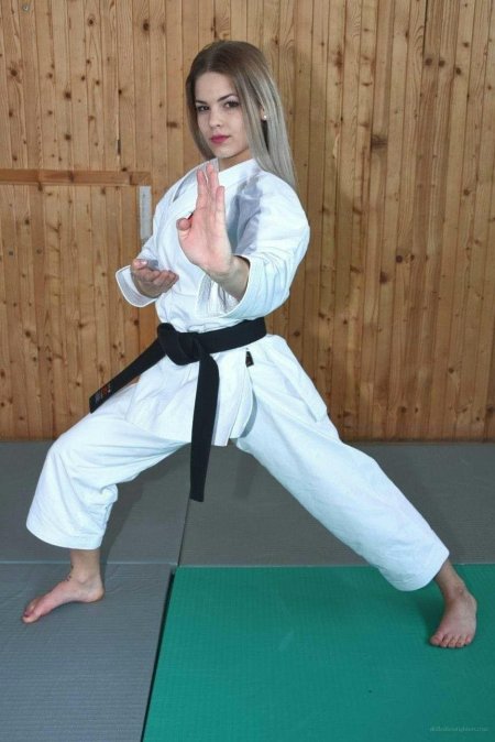 Карате герл