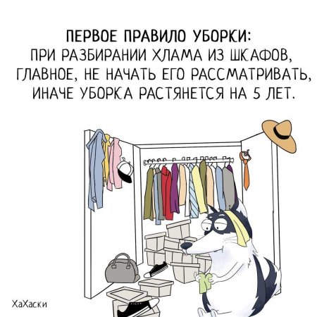 Смешные цитаты про уборку в доме