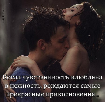 Высказывания про чувственность