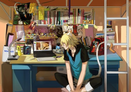 Отаку хикикомори