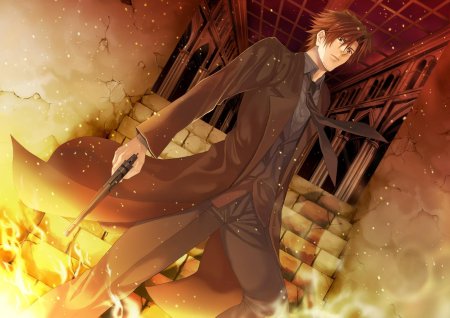 Эмия кирицугу