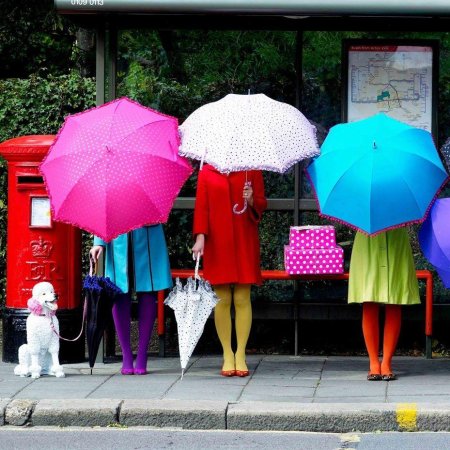 Зонтики яркие