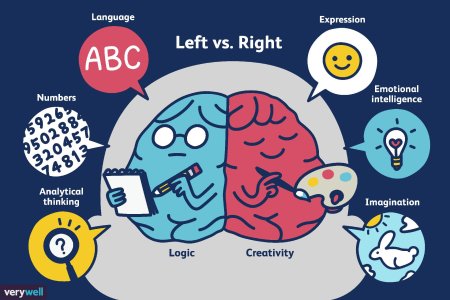 Left brain vs right