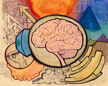 Мозг человека рисунок