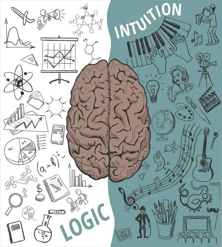 Полушарие мозга