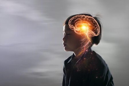 Мозг ребенка