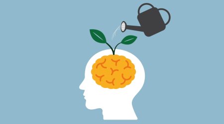 Здоровье мозга