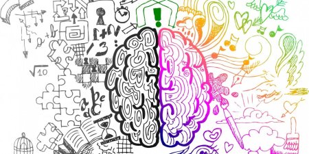 Левое и правое полушарие мозга