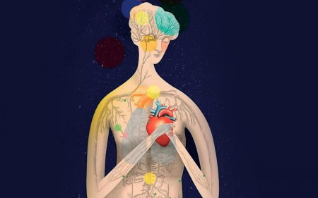 Психосоматика тела