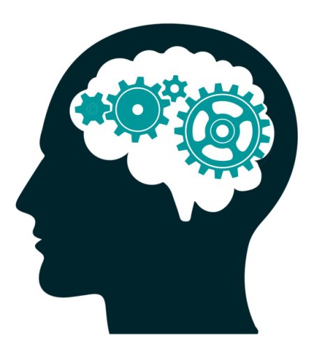 Мозг думает