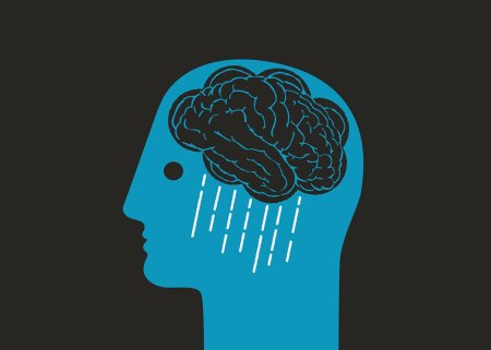 Мозг эстетика