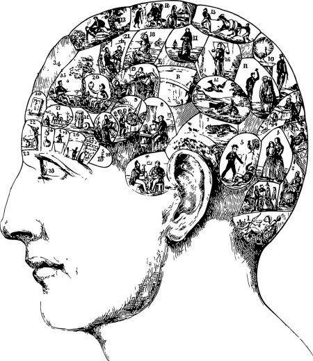 Френология франца галля