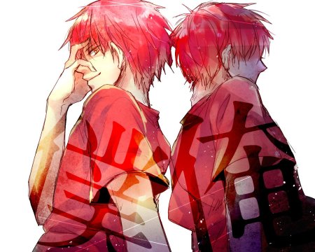 Акаши сейджуро 2 личности