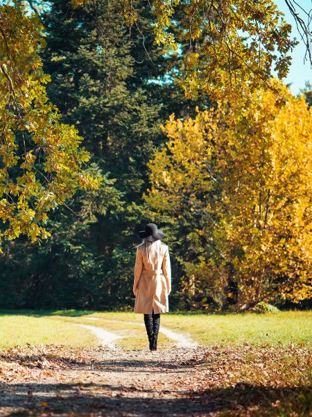 Осенняя прогулка