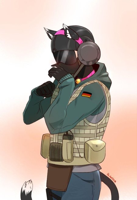 Оперативники коты из rainbow six