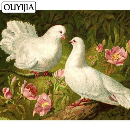 Палома белый голубь