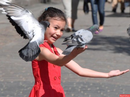 Девочка с голубем