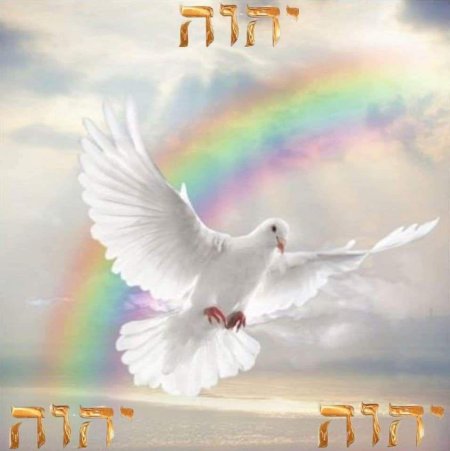 Небо голуби